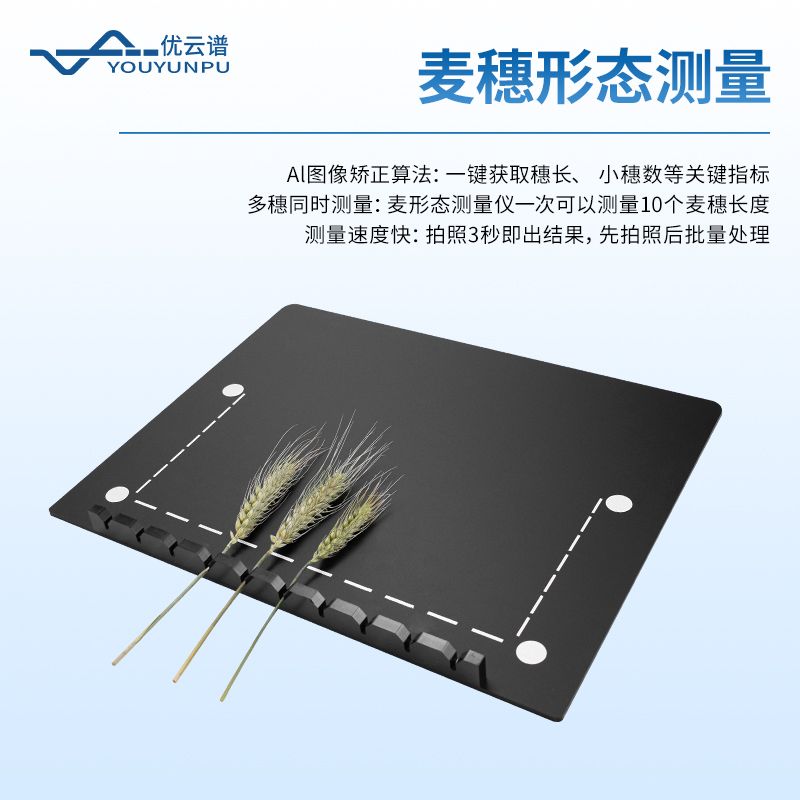 小麥畝穗數(shù)測量儀